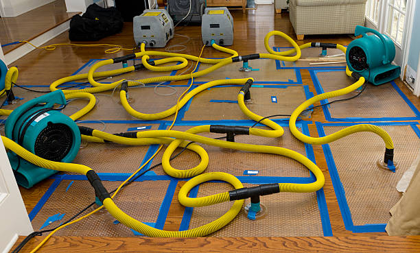 Professional Storm Water Damage Restoration technician working in Burnet, TX